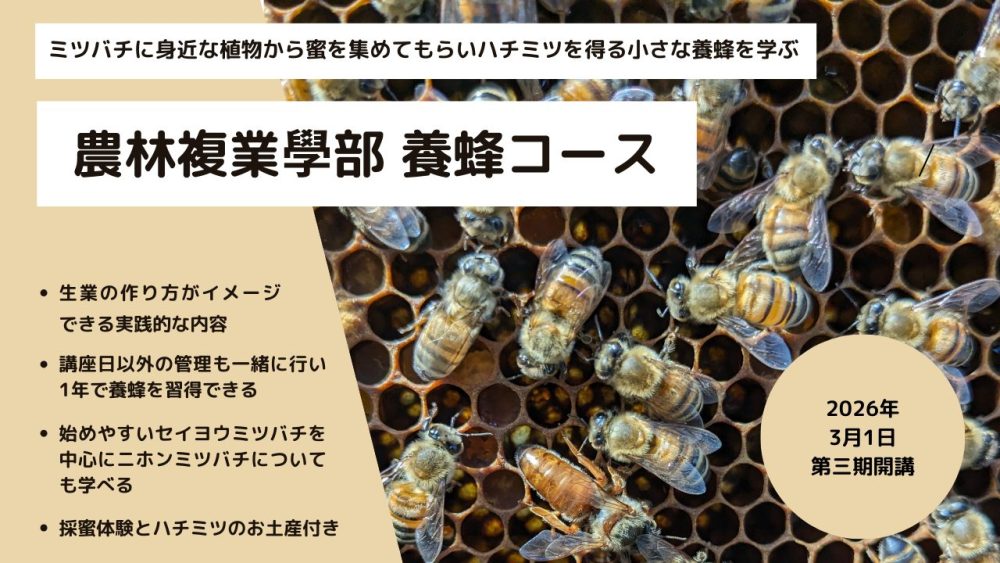 農林複業学部養蜂コース