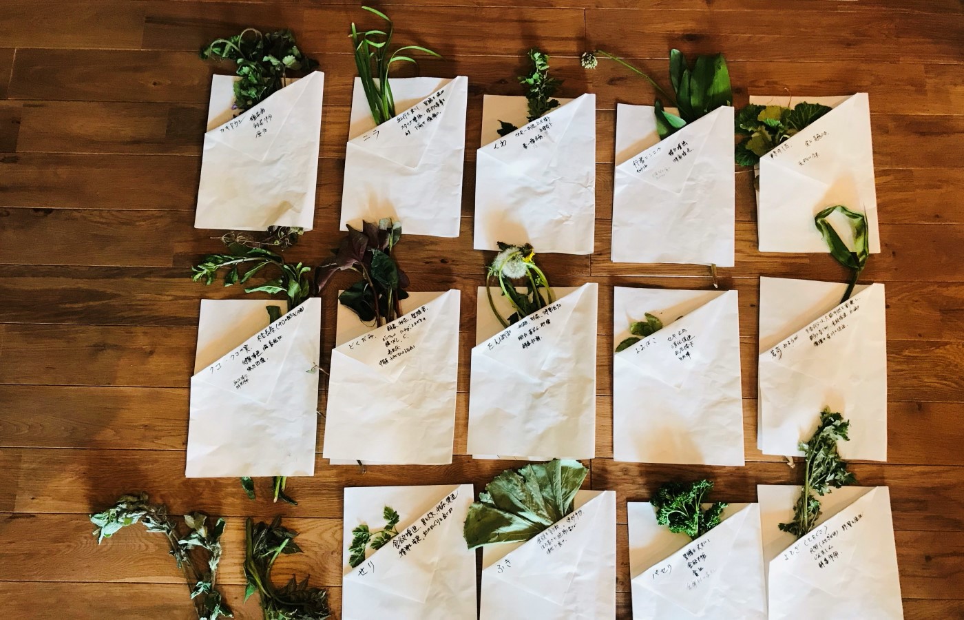 薬草養生学部 地球のしごと大學