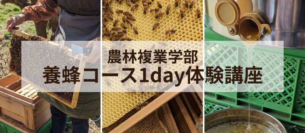 養蜂コース1day2
