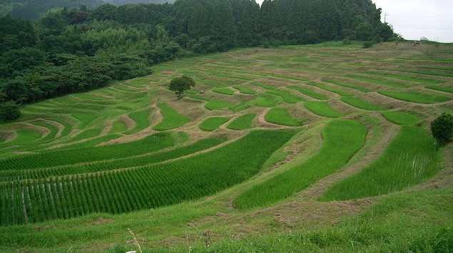 田園回帰1 戦略 田園回帰戦略と所得取戻し戦略 地球のしごと大學