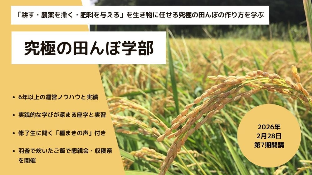 究極の田んぼ学部